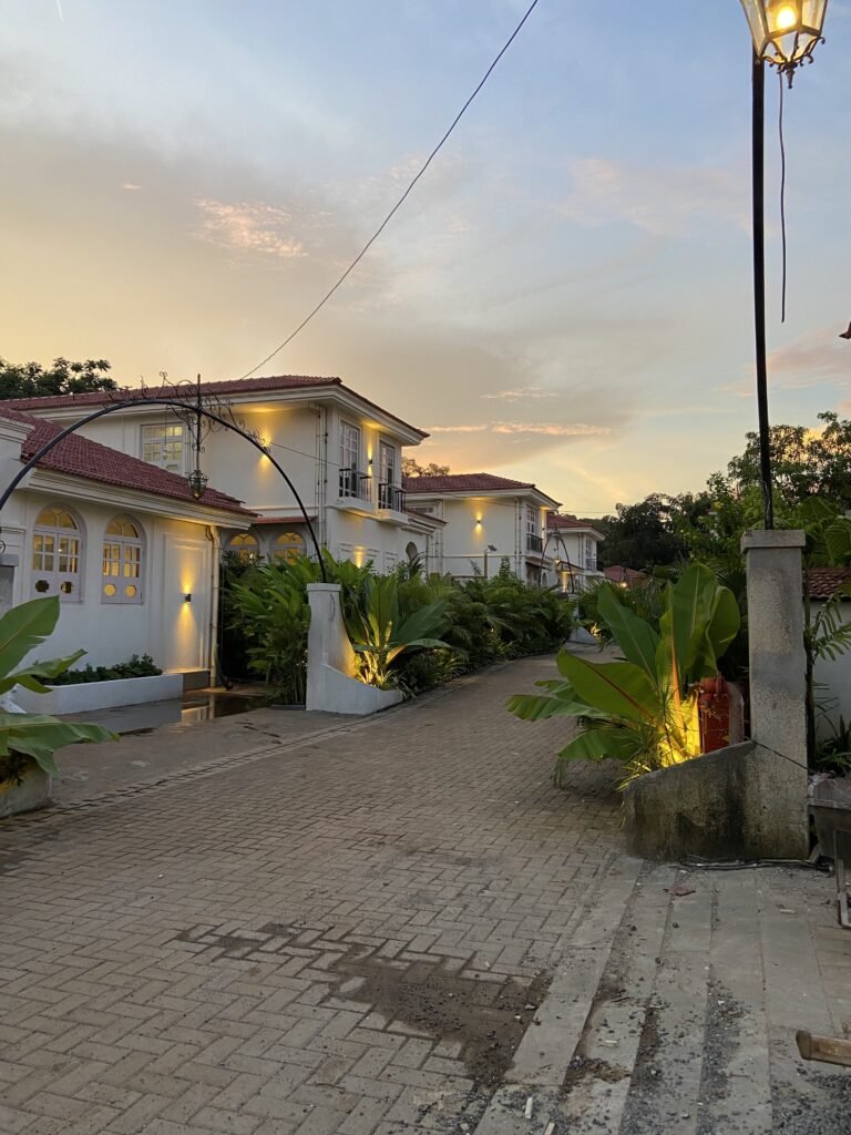 20241005_182542_IMG_4495-min